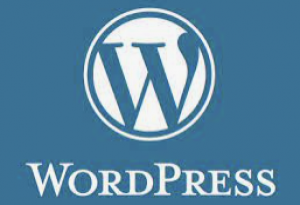 WordPressのスパム対策の画像